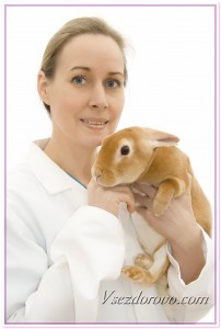 Женщина-ветеринар с кроликом фото