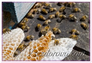 Пчелы и воск фото