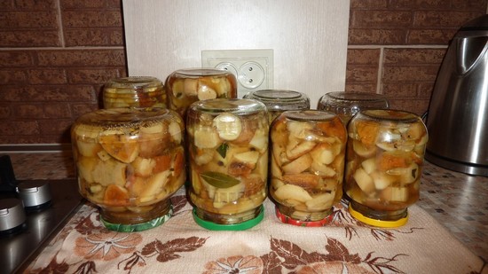 How to pickle mushrooms at home for the winter in jars with vinegar, onions, without sterilization. Recipe for marinating duneks and whites 