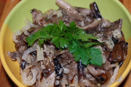 Что приготовить из свежих опят на зиму и на ужин: пошаговые фото-рецепты грибных блюд