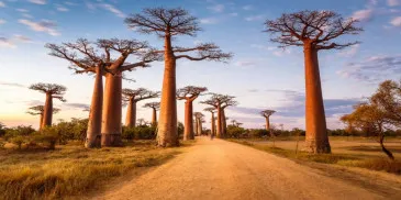 5 самых красивых мест Африки