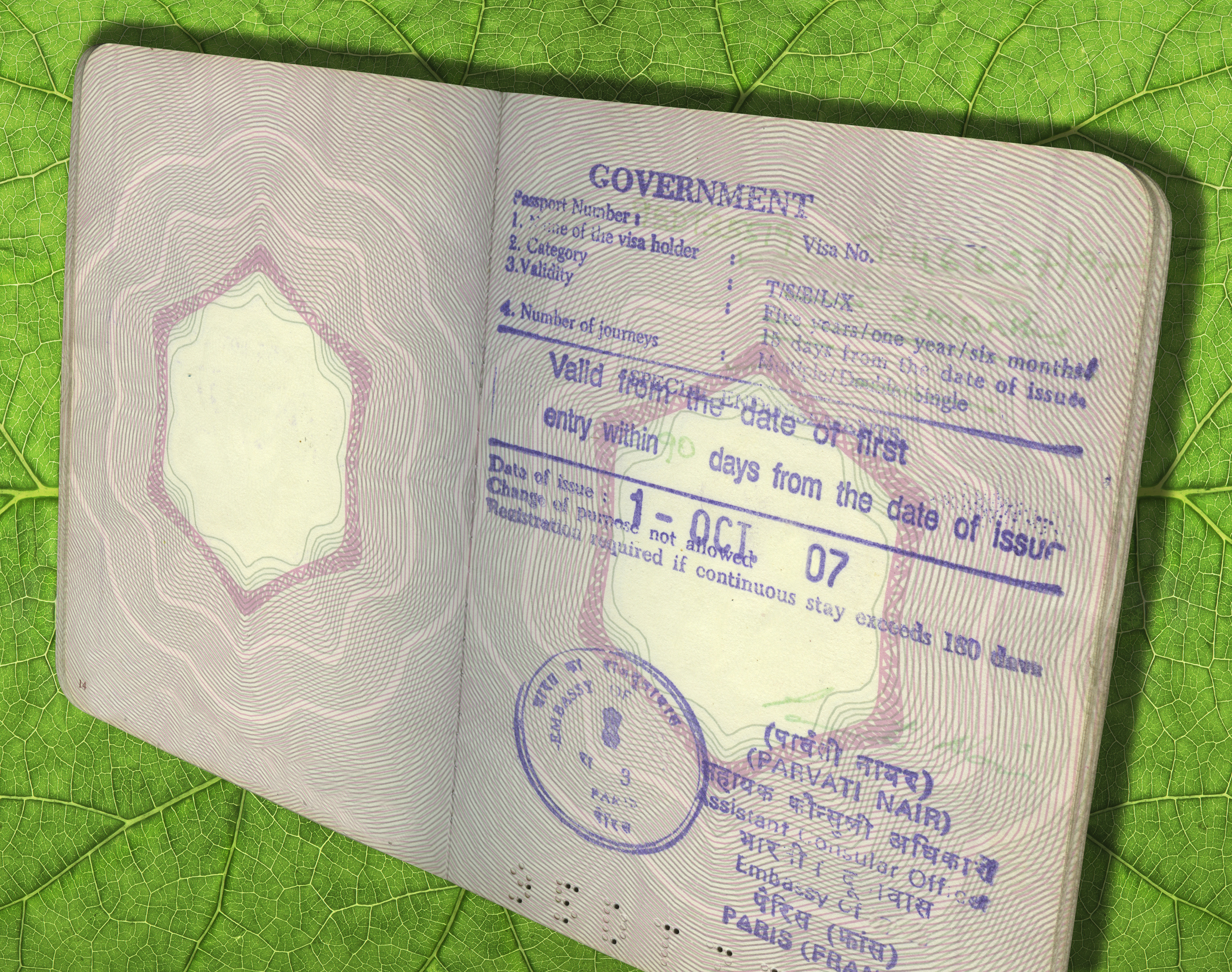 Transit visa. F-1 (виза). Фото на канадскую гостевую визу.
