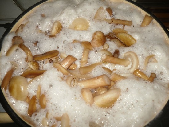 Как правильно мариновать грибы в домашних условиях на зиму в банках с уксусом, луком, без стерилизации. Рецепт маринования дунек и белых