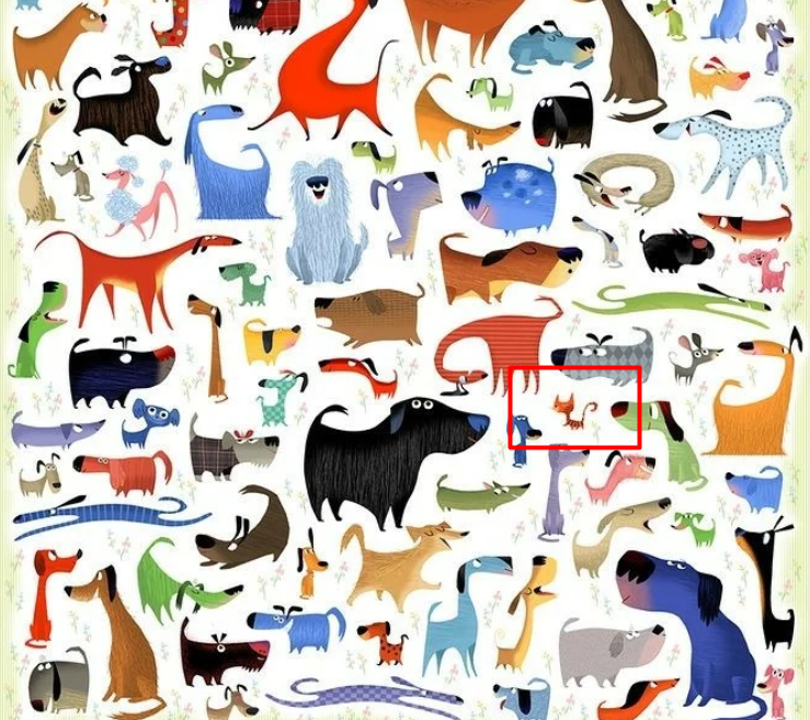 Задания найди кота. Найди кота среди собак. Найди собаку среди котов. Найди среди котов. Среди котов.