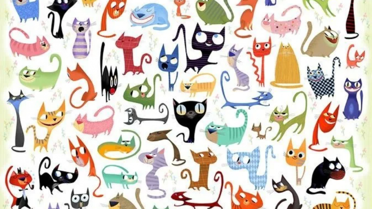 Хср кошка среди. Найди кота среди собак. Собака среди кошек. Иллюстрации - Найди кошек. Найди среди котов.