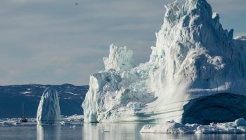 В Гренландии тают ледники: причина в распространении водорослей