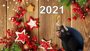 Бык одобряет! Лучшие новогодние подарки на 2021 год